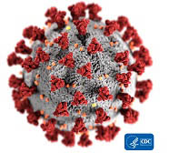 artist rendering of coronavirus